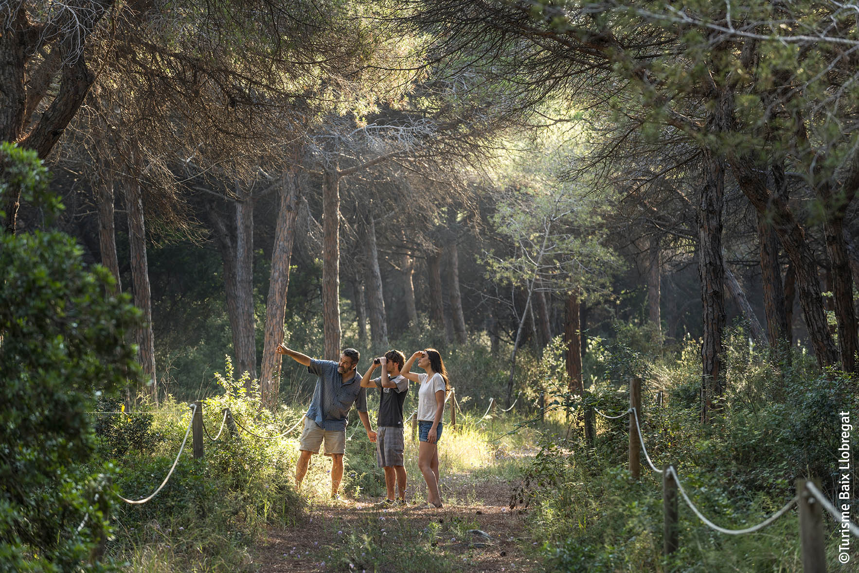The Can Camins pine forest, one of the best preserved forest areas along the Catalan coastline.
